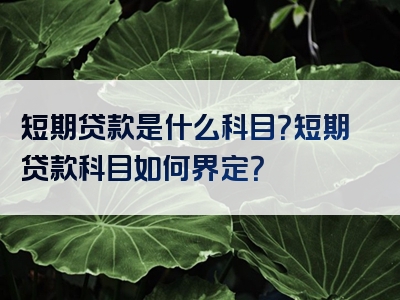 短期贷款是什么科目？短期贷款科目如何界定？