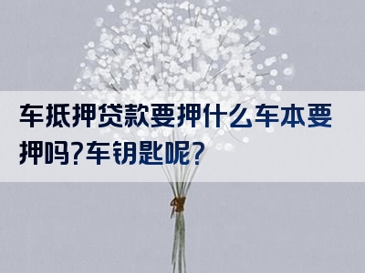 车抵押贷款要押什么车本要押吗？车钥匙呢？