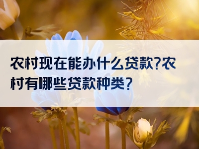 农村现在能办什么贷款？农村有哪些贷款种类？