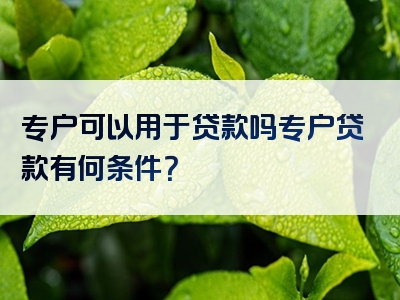 专户可以用于贷款吗专户贷款有何条件？