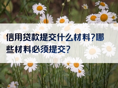 信用贷款提交什么材料？哪些材料必须提交？