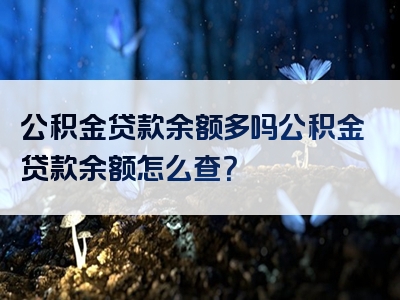 公积金贷款余额多吗公积金贷款余额怎么查？