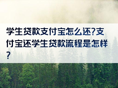 学生贷款支付宝怎么还？支付宝还学生贷款流程是怎样？