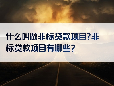 什么叫做非标贷款项目？非标贷款项目有哪些？