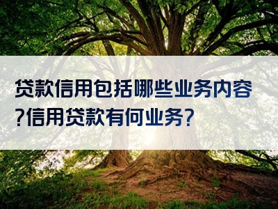 贷款信用包括哪些业务内容？信用贷款有何业务？