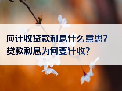 应计收贷款利息什么意思？贷款利息为何要计收？