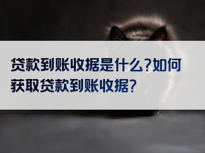 贷款到账收据是什么？如何获取贷款到账收据？