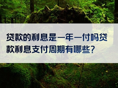 贷款的利息是一年一付吗贷款利息支付周期有哪些？