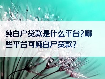 纯白户贷款是什么平台？哪些平台可纯白户贷款？