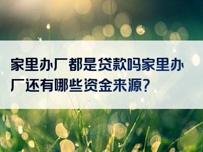 家里办厂都是贷款吗家里办厂还有哪些资金来源？