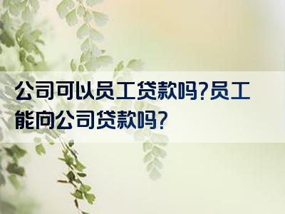 公司可以员工贷款吗？员工能向公司贷款吗？