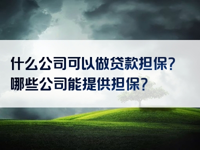 什么公司可以做贷款担保？哪些公司能提供担保？