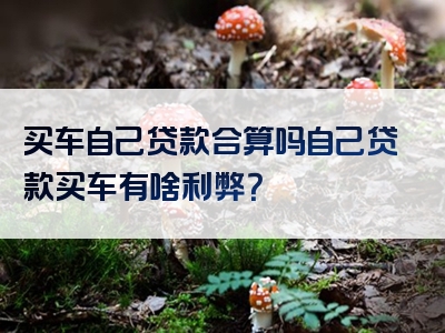 买车自己贷款合算吗自己贷款买车有啥利弊？