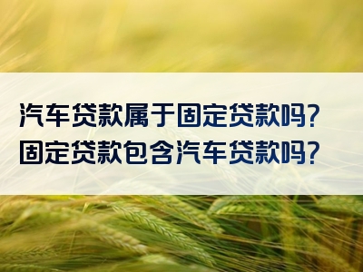 汽车贷款属于固定贷款吗？固定贷款包含汽车贷款吗？