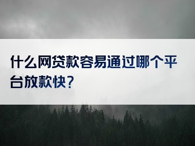 什么网贷款容易通过哪个平台放款快？