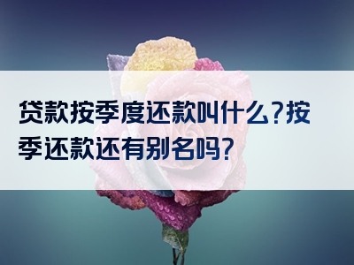 贷款按季度还款叫什么？按季还款还有别名吗？