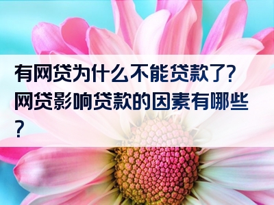 有网贷为什么不能贷款了？网贷影响贷款的因素有哪些？