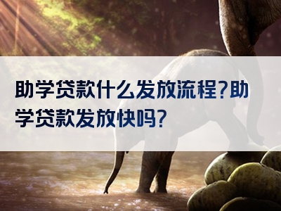 助学贷款什么发放流程？助学贷款发放快吗？