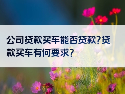 公司贷款买车能否贷款？贷款买车有何要求？