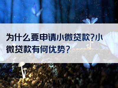 为什么要申请小微贷款？小微贷款有何优势？