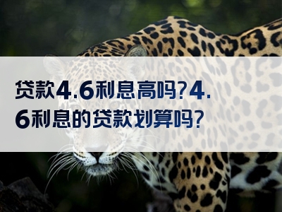 贷款4.6利息高吗？4.6利息的贷款划算吗？