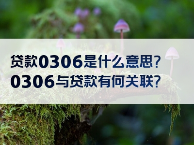 贷款0306是什么意思？0306与贷款有何关联？