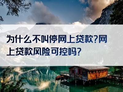 为什么不叫停网上贷款？网上贷款风险可控吗？