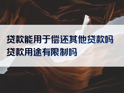 贷款能用于偿还其他贷款吗贷款用途有限制吗