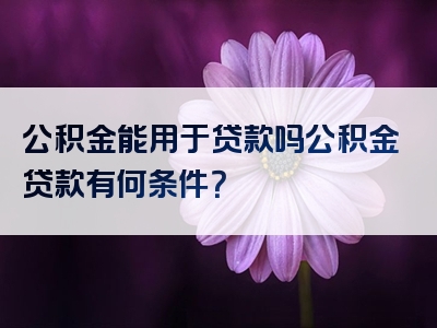 公积金能用于贷款吗公积金贷款有何条件？