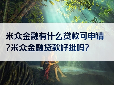 米众金融有什么贷款可申请？米众金融贷款好批吗？