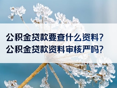 公积金贷款要查什么资料？公积金贷款资料审核严吗？