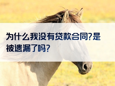 为什么我没有贷款合同？是被遗漏了吗？