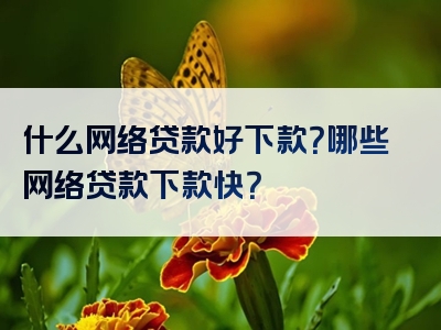 什么网络贷款好下款？哪些网络贷款下款快？