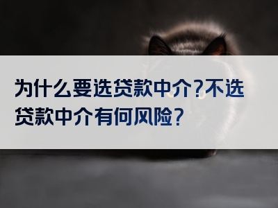 为什么要选贷款中介？不选贷款中介有何风险？