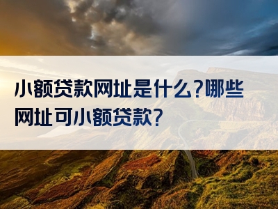 小额贷款网址是什么？哪些网址可小额贷款？