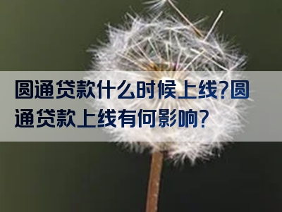 圆通贷款什么时候上线？圆通贷款上线有何影响？