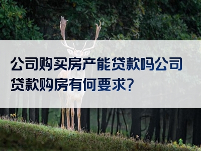 公司购买房产能贷款吗公司贷款购房有何要求？