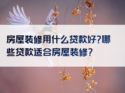 房屋装修用什么贷款好？哪些贷款适合房屋装修？