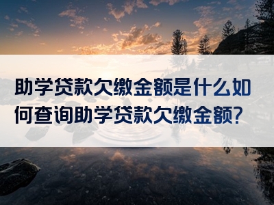 助学贷款欠缴金额是什么如何查询助学贷款欠缴金额？