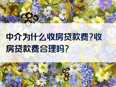 中介为什么收房贷款费？收房贷款费合理吗？