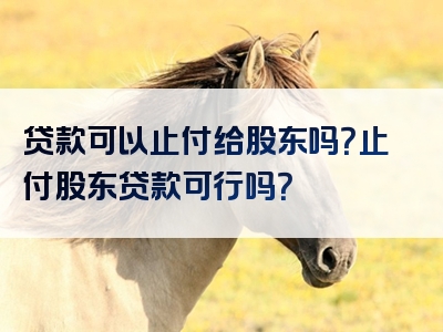 贷款可以止付给股东吗？止付股东贷款可行吗？