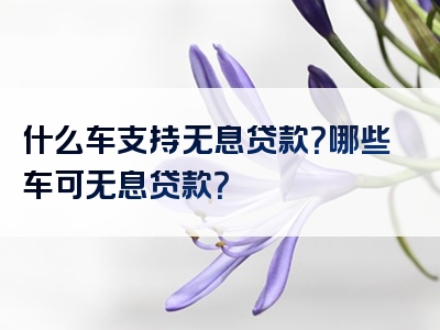 什么车支持无息贷款？哪些车可无息贷款？