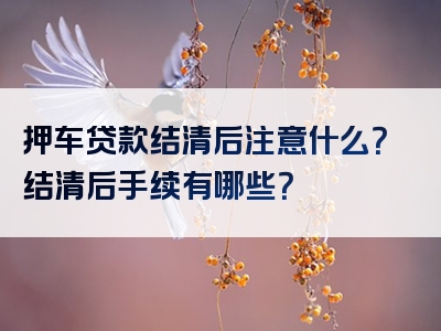 押车贷款结清后注意什么？结清后手续有哪些？