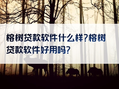 榕树贷款软件什么样？榕树贷款软件好用吗？