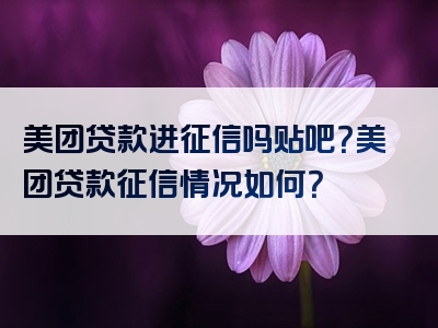 美团贷款进征信吗贴吧？美团贷款征信情况如何？