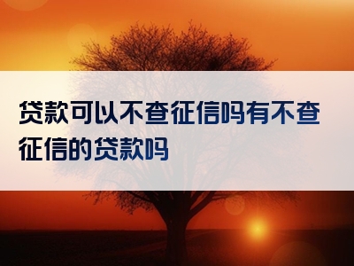 贷款可以不查征信吗有不查征信的贷款吗