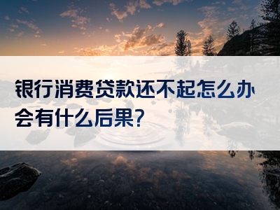 银行消费贷款还不起怎么办会有什么后果？