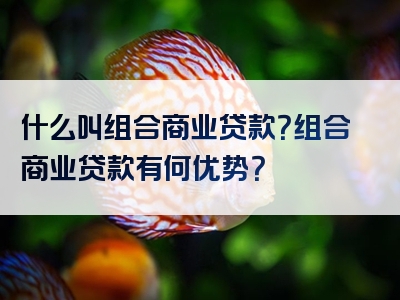 什么叫组合商业贷款？组合商业贷款有何优势？