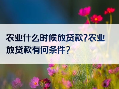 农业什么时候放贷款？农业放贷款有何条件？