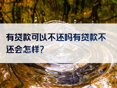 有贷款可以不还吗有贷款不还会怎样？